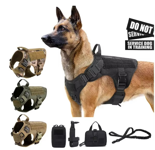 9c3387574f413314ef1f9595a0676775